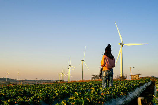 Women For Sustainability: Three Female Environmental Activists You Should Know