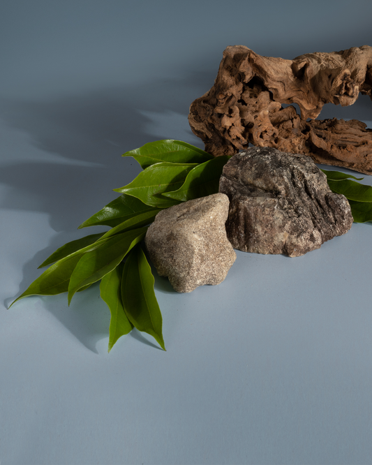 Auto Stix® (Coastal Storm & Teakwood)