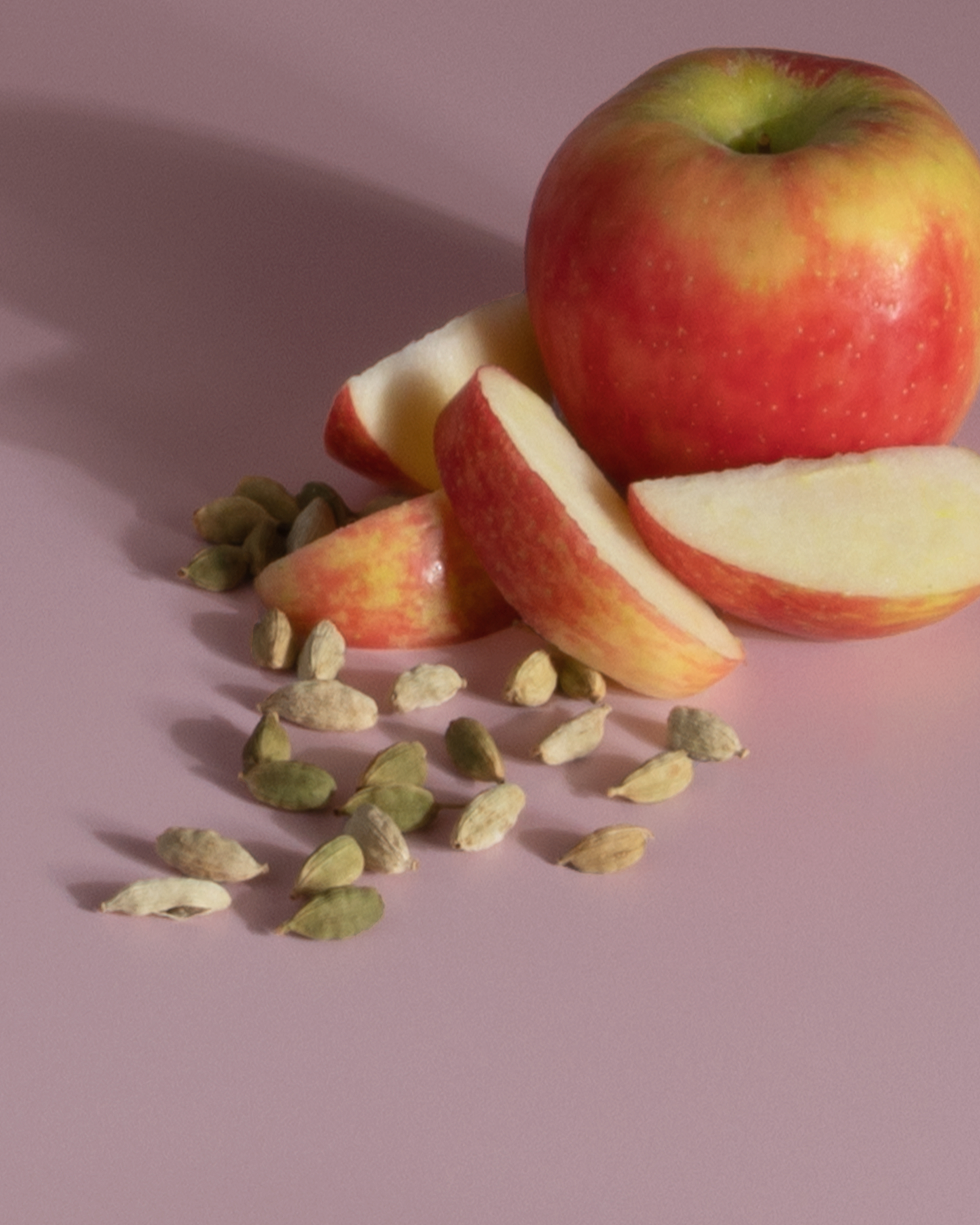 Plug Hub™ Starter Kit - Honeyscrisp Apple & Cardamom