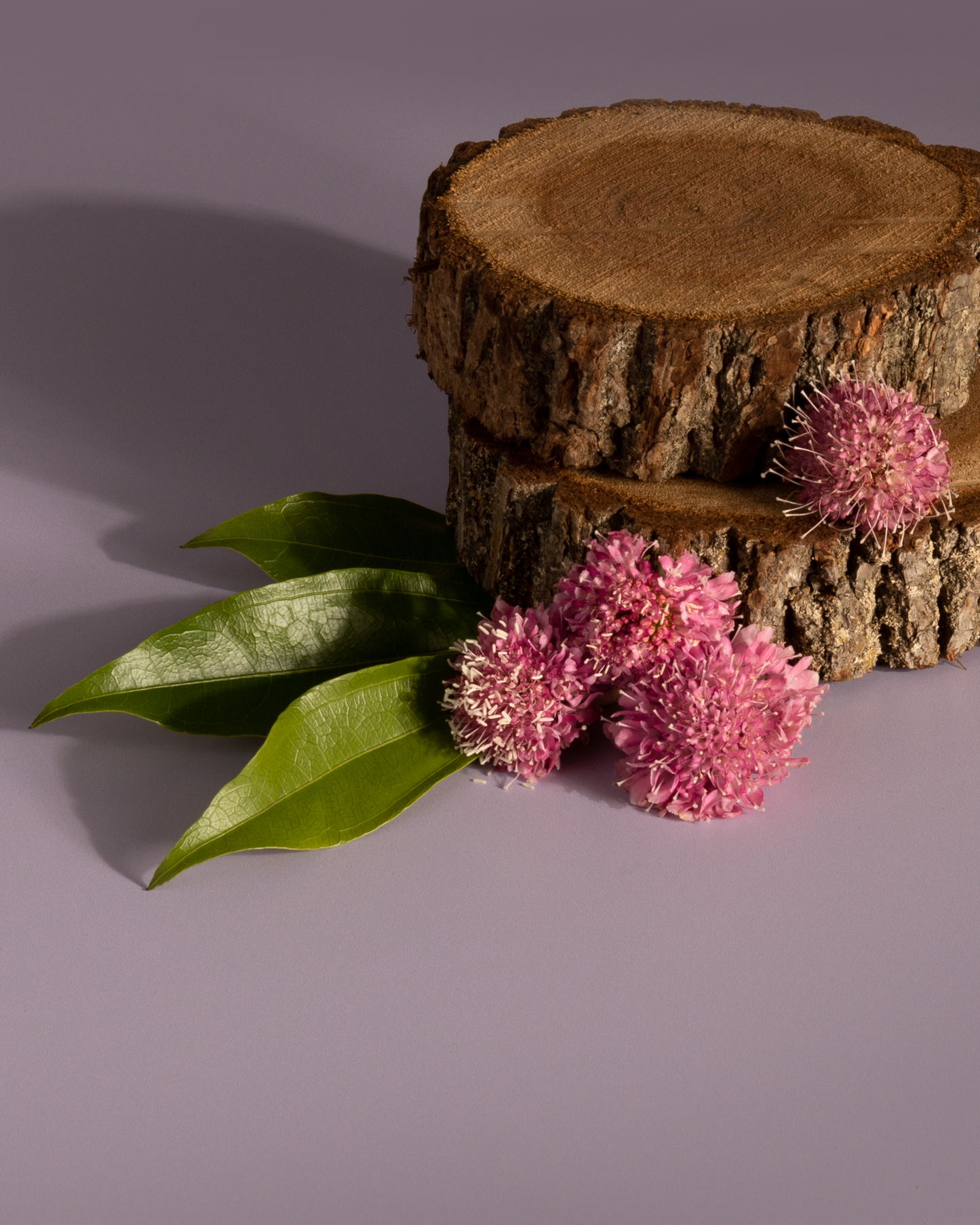 Cedarwood + Bergamot scent cues
