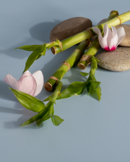 Rainwater & Bamboo scent cues