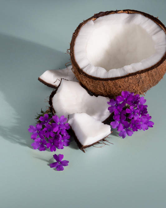 Seaside Coconut + Verbena scent cues