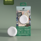 Plug Hub™ Starter Kit - Balsam Fir & Spruce
