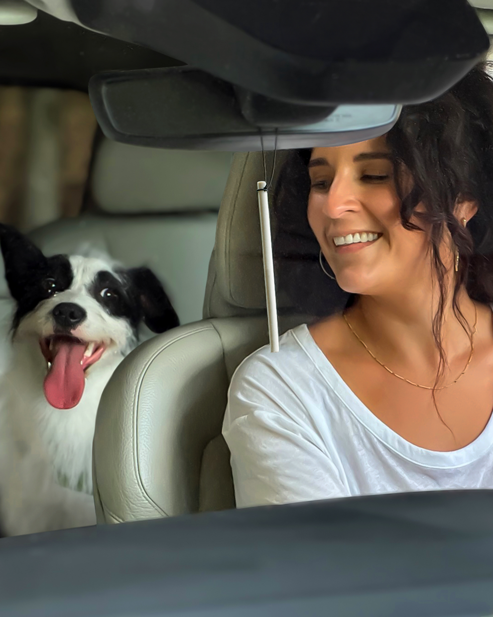 Auto Stix® Car Air Freshener | Enviroscent – Enviroscent.com
