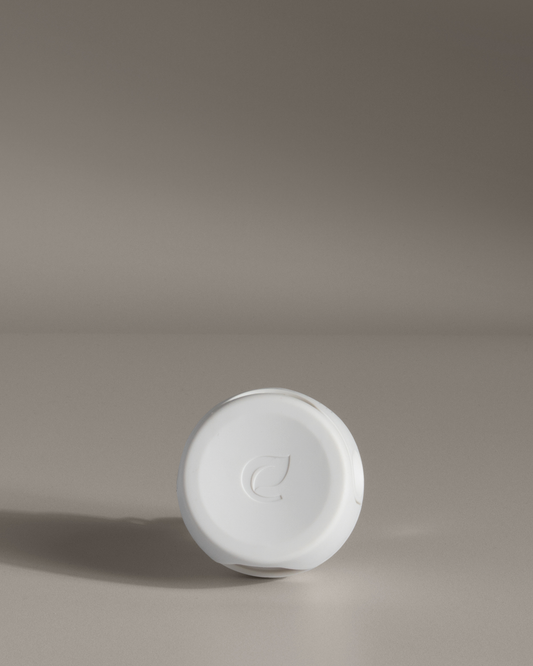 Plug Hub™ Starter Kit - Balsam Fir & Spruce