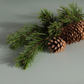 Seasonal Scent Stix & Stand™ Starter Kit