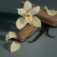 Tahitian Vanilla & Sandalwood scent inspiration lifestyle