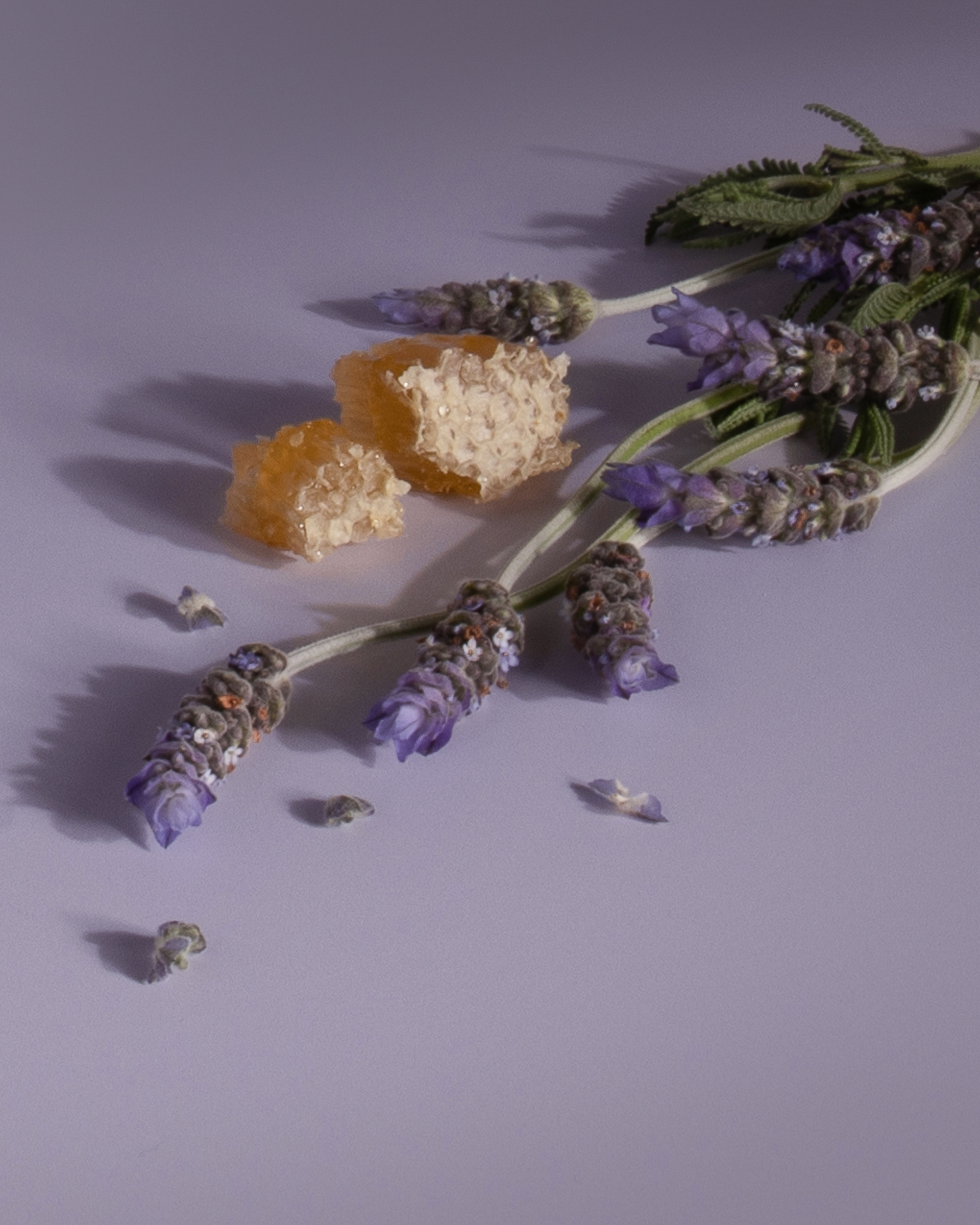 Lavender Tea & Honey scent cues