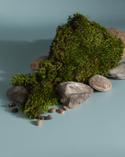 Minerals + Moss scent cues