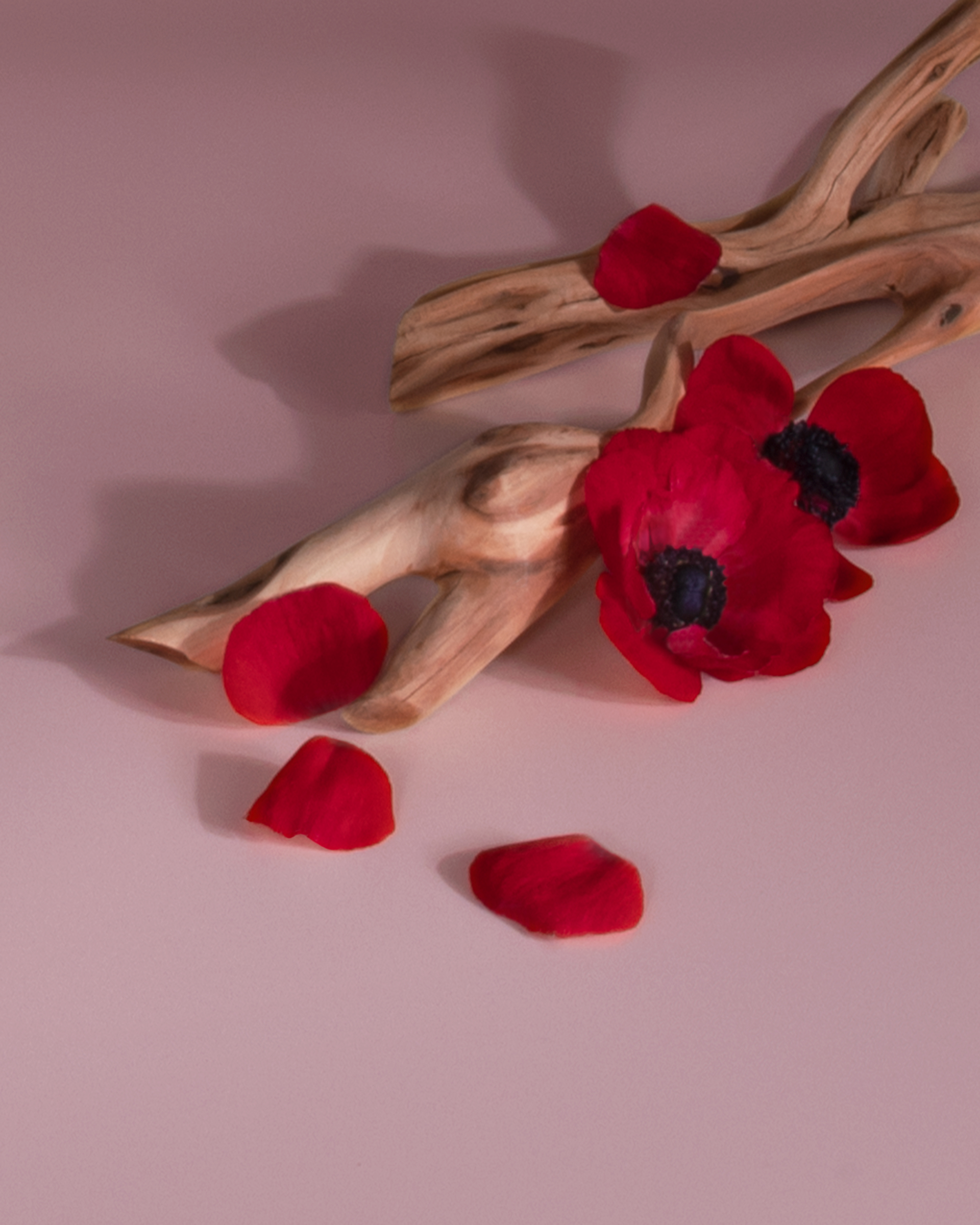 Red Poppies + Rosewood scent cues