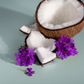 Seaside Coconut + Verbena scent cues