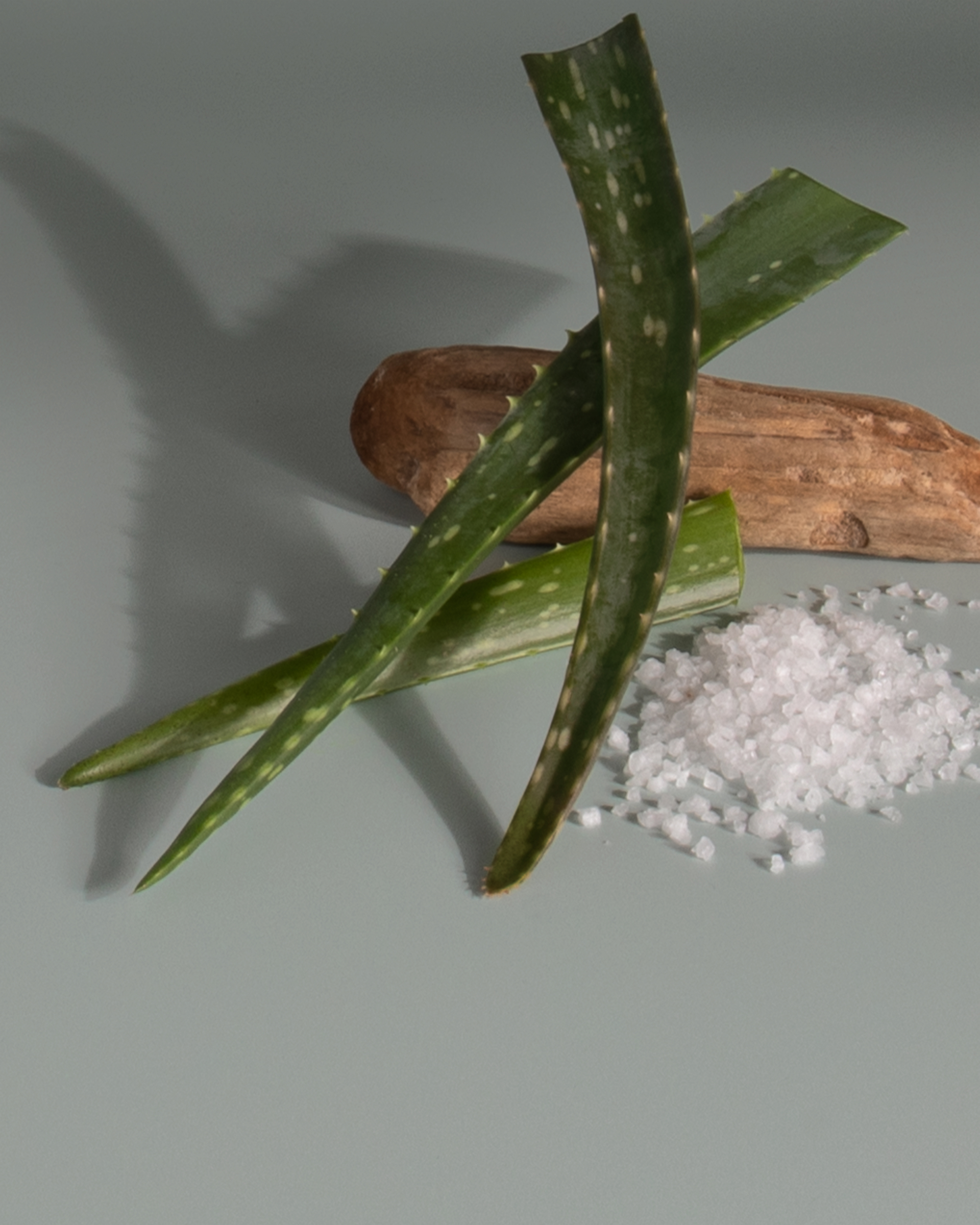 Sea Salt & Aloe scent cues