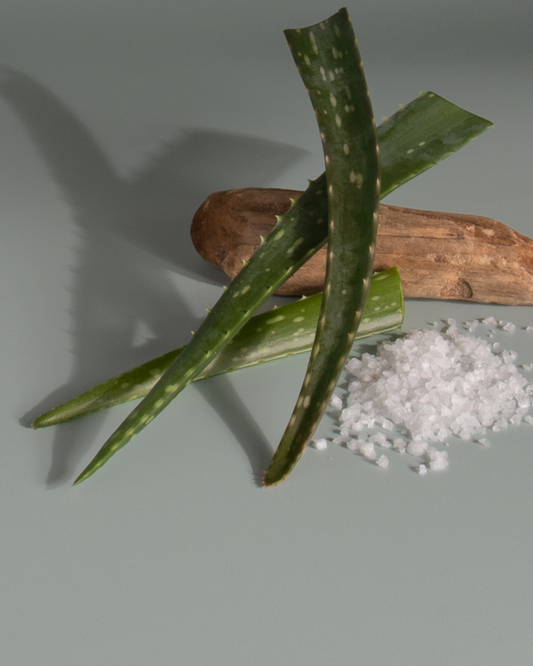 Sea Salt + Aloe scent cues