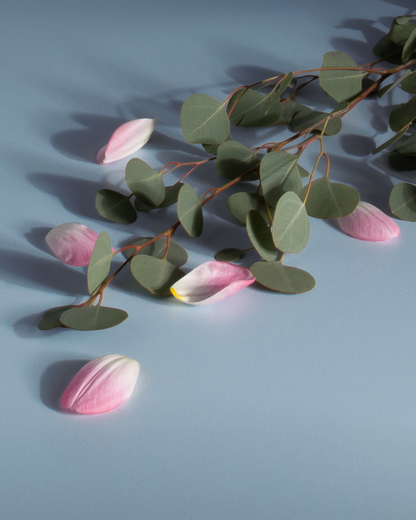 Spring Water & Lotus scent cues