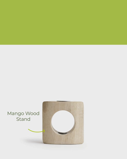Mango Wood Stand
